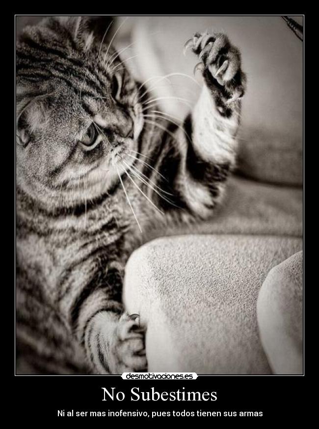 No Subestimes - Ni al ser mas inofensivo, pues todos tienen sus armas