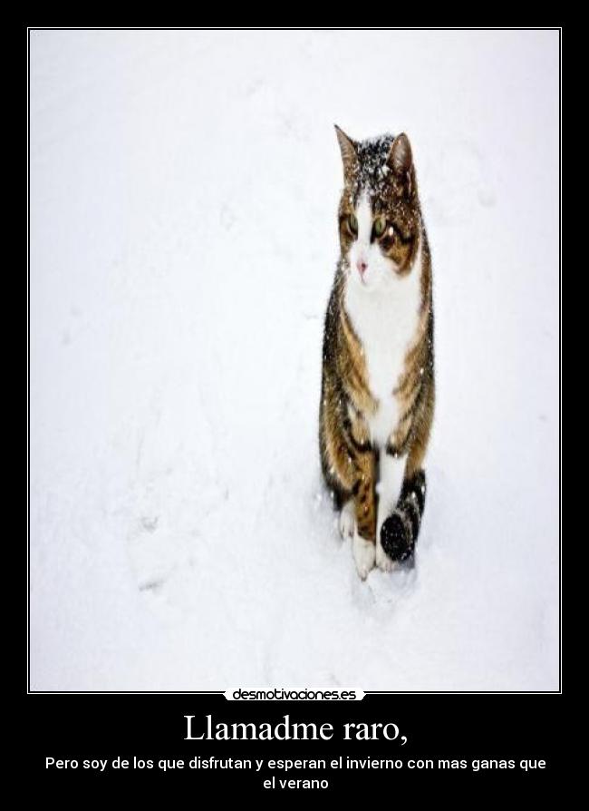 Llamadme raro, - Pero soy de los que disfrutan y esperan el invierno con mas ganas que el verano