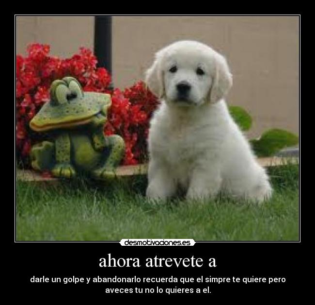 ahora atrevete a - darle un golpe y abandonarlo recuerda que el simpre te quiere pero
aveces tu no lo quieres a el.