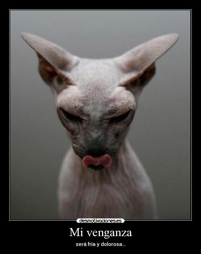 Mi venganza - será fría y dolorosa...