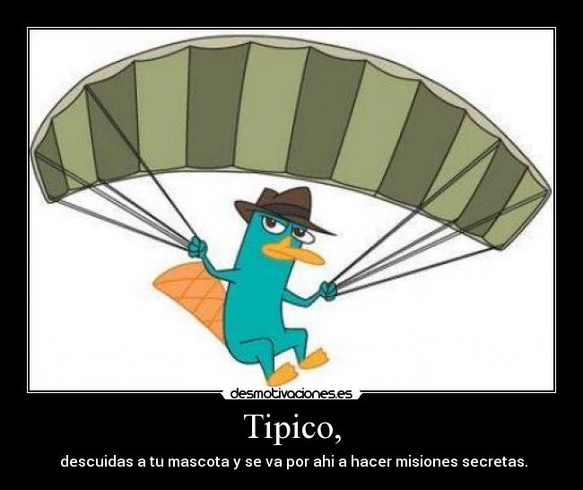 Tipico, -