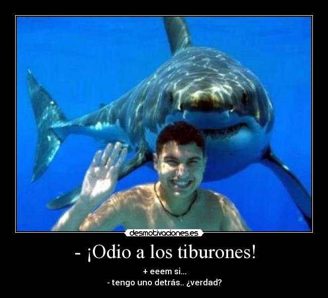 - ¡Odio a los tiburones! -