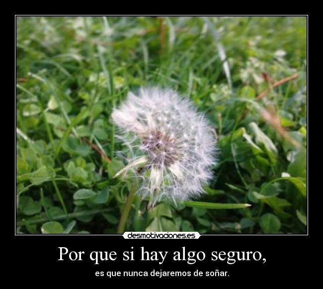Por que si hay algo seguro, - es que nunca dejaremos de soñar.