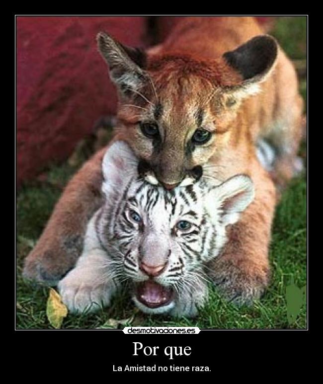 carteles amistadrazano desmotivaciones