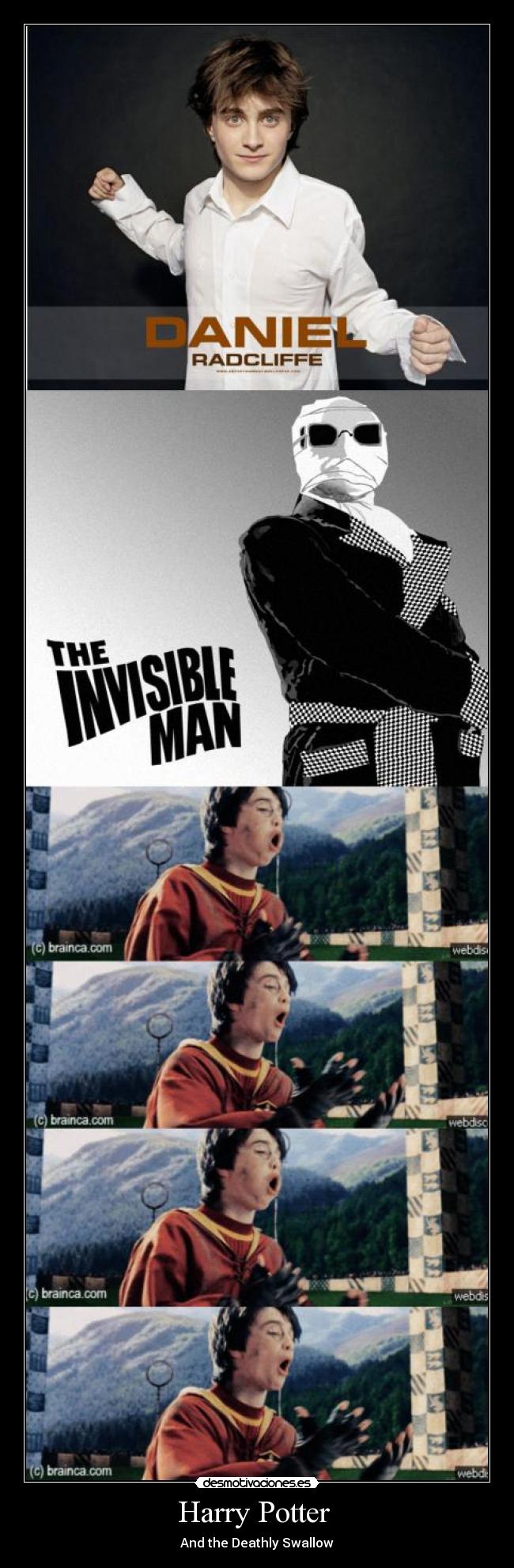 Harry Potter  - And the Deathly Swallow