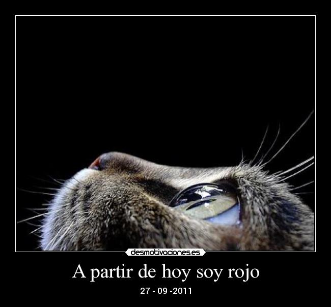 A partir de hoy soy rojo - 