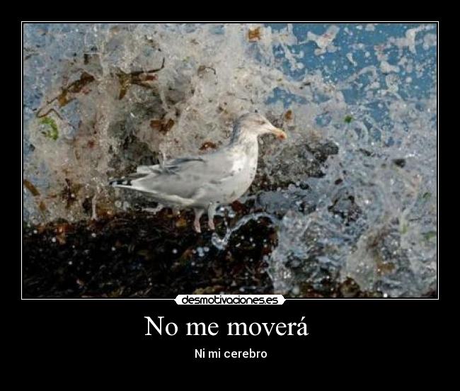 No me moverá - Ni mi cerebro