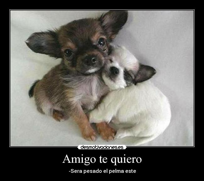 carteles ewf desmotivaciones