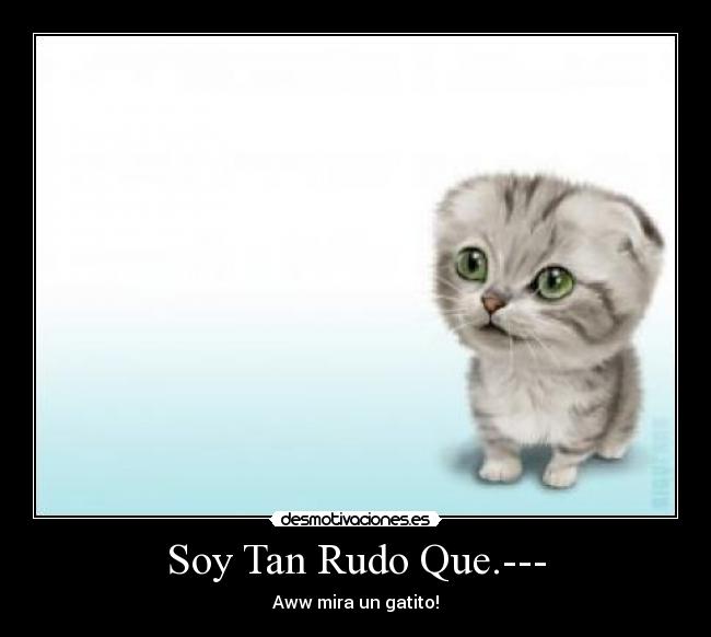 Soy Tan Rudo Que.--- - Aww mira un gatito!