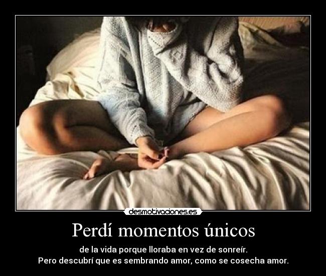 Perdí momentos únicos - de la vida porque lloraba en vez de sonreír.
Pero descubrí que es sembrando amor, como se cosecha amor.