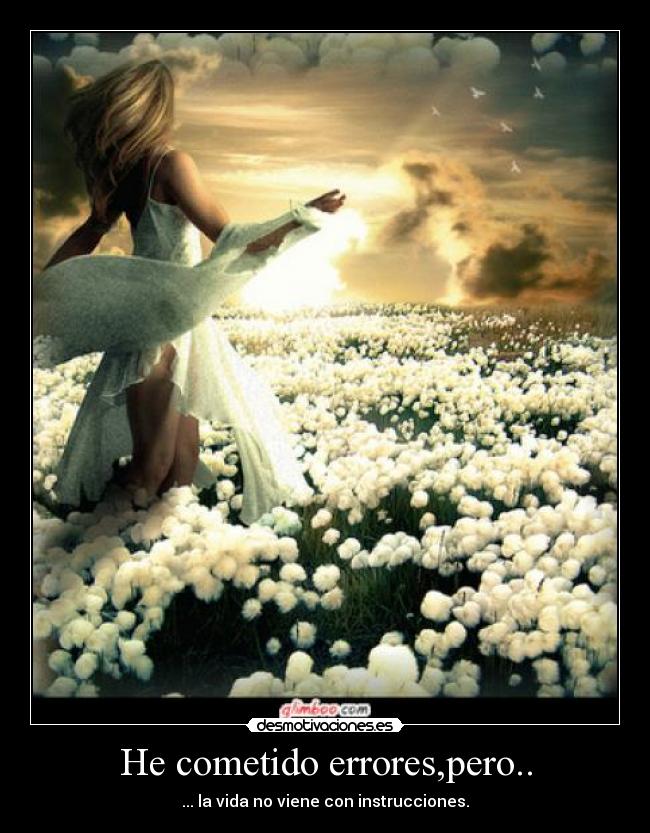 carteles cometemos errores desmotivaciones