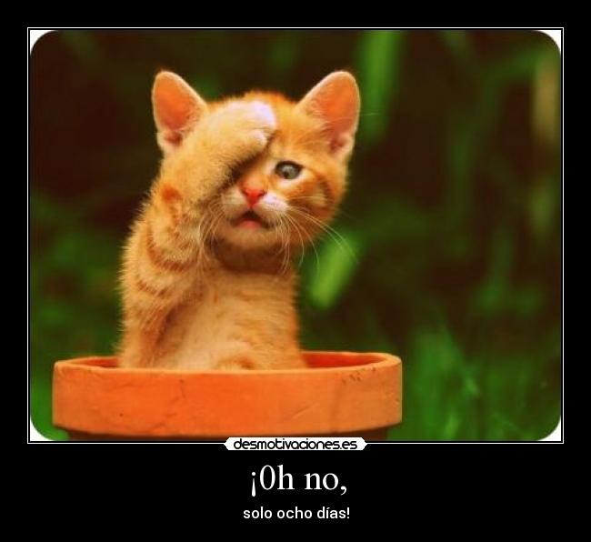 ¡0h no, - solo ocho días!