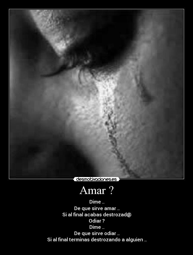 Amar ? -