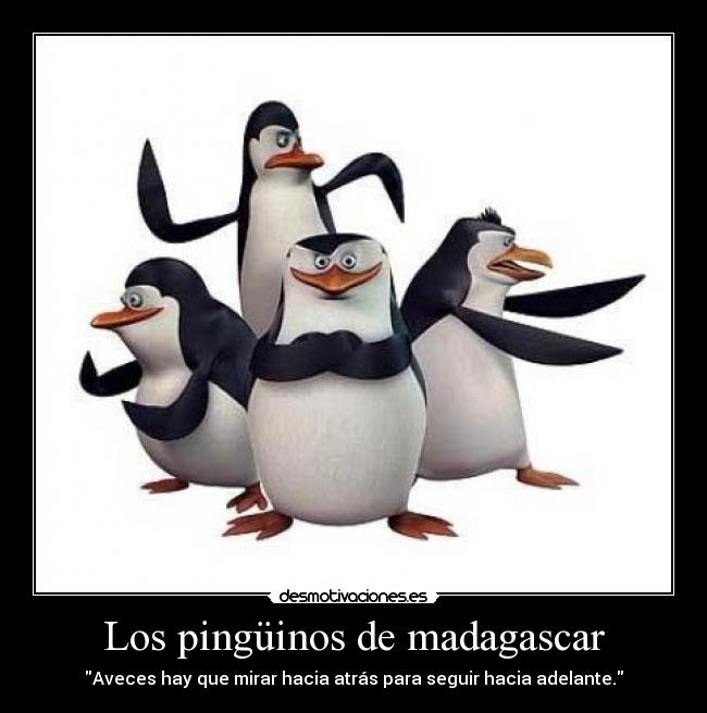 Los pingüinos de madagascar - 