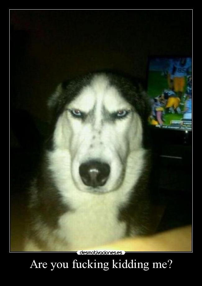 Are you fucking kidding me? - 