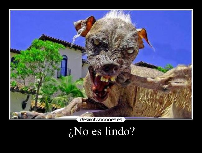 ¿No es lindo? -