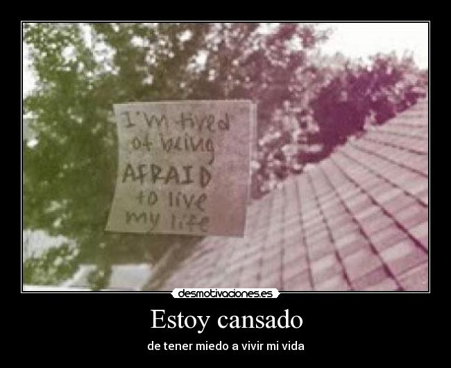Estoy cansado - de tener miedo a vivir mi vida
