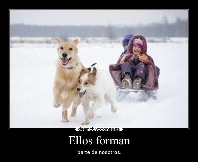 Ellos forman -