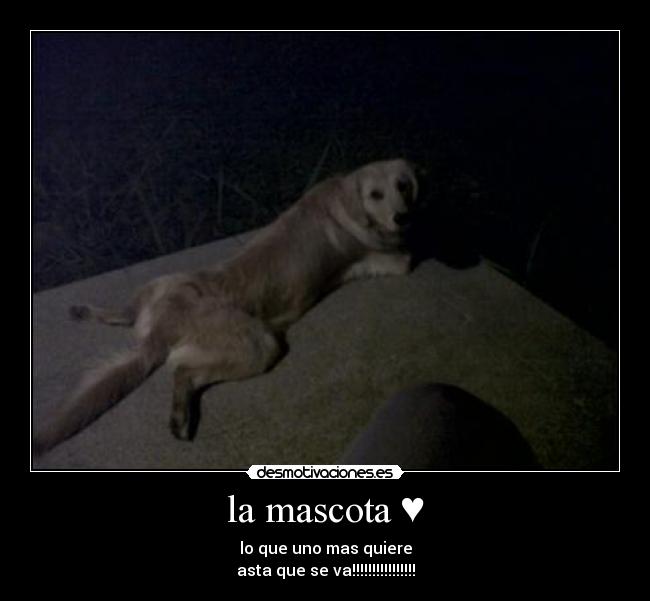 la mascota ♥ - 