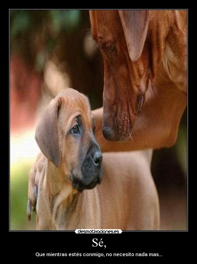 Sé, - Que mientras estés conmigo, no necesito nada mas...