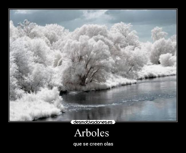 Arboles - que se creen olas