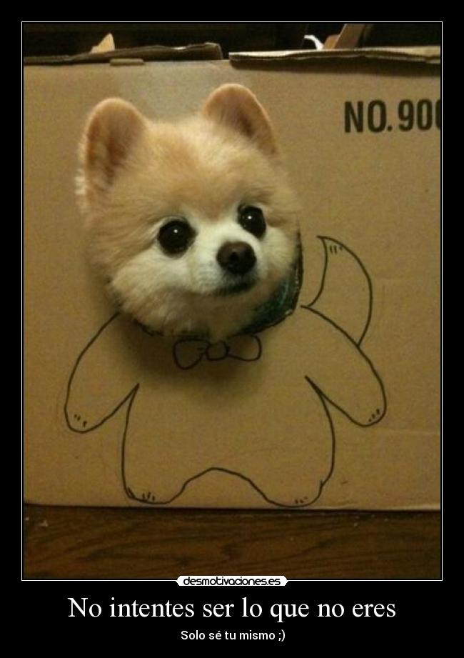 No intentes ser lo que no eres - Solo sé tu mismo ;)