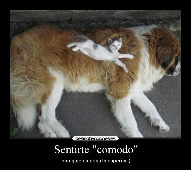 Sentirte comodo - 