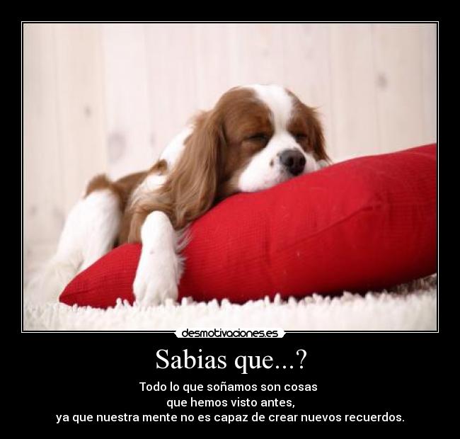 Sabias que...? - Todo lo que soñamos son cosas 
que hemos visto antes,
ya que nuestra mente no es capaz de crear nuevos recuerdos.