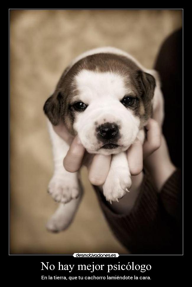 No hay mejor psicólogo -