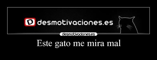 Este gato me mira mal -  