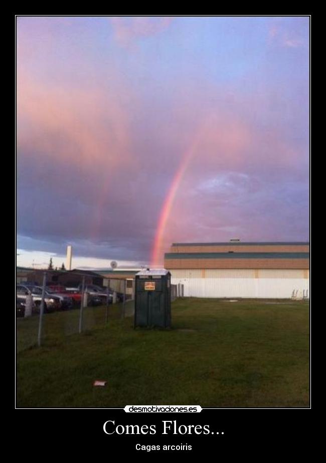 Comes Flores... - Cagas arcoiris
