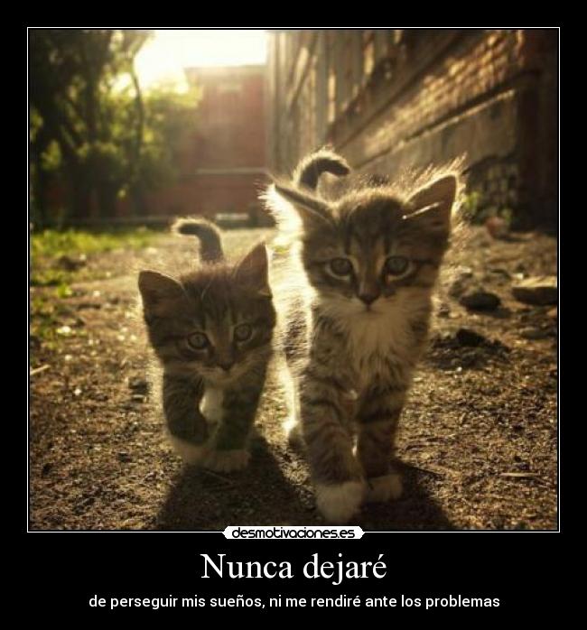 Nunca dejaré -