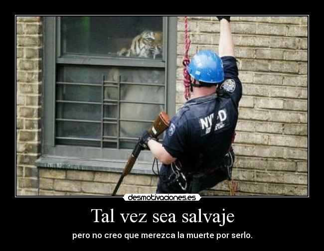 Tal vez sea salvaje -