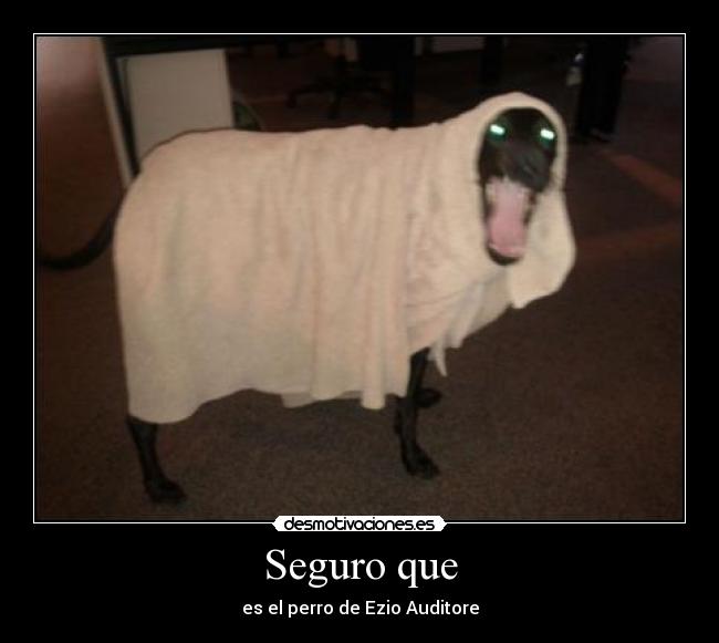 Seguro que - es el perro de Ezio Auditore