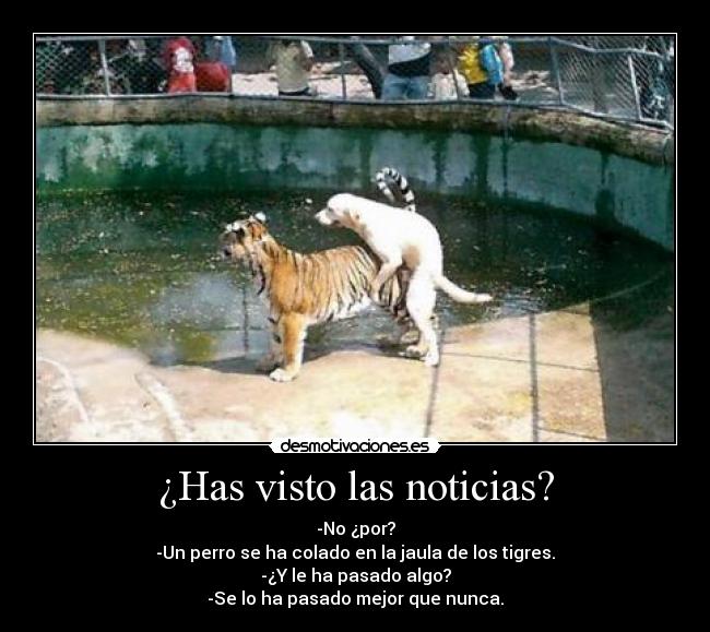 ¿Has visto las noticias? - -No ¿por?
-Un perro se ha colado en la jaula de los tigres.
-¿Y le ha pasado algo?
-Se lo ha pasado mejor que nunca.