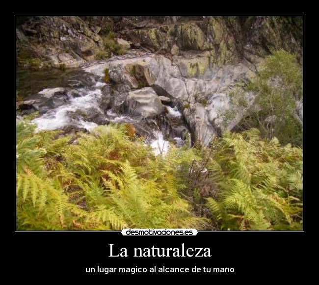 La naturaleza -