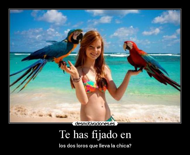 Te has fijado en - los dos loros que lleva la chica?