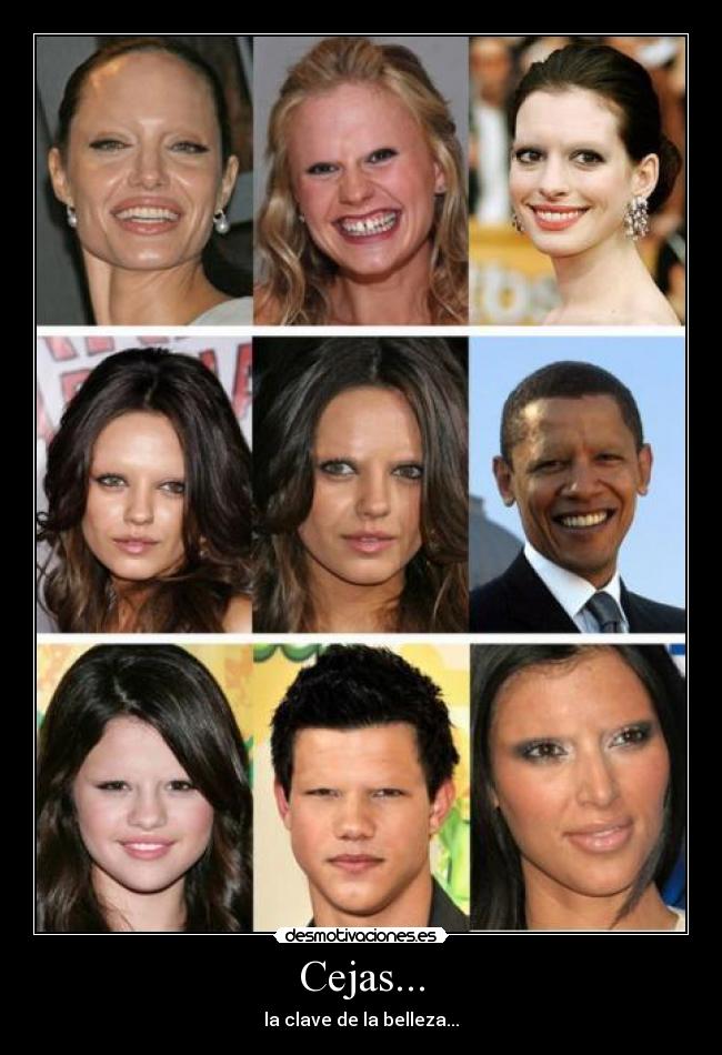 Cejas... - la clave de la belleza...