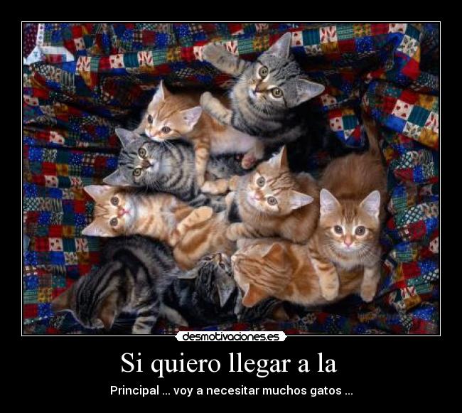 Si quiero llegar a la -