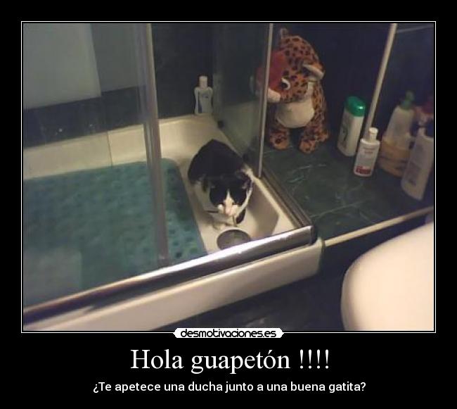 carteles clanvirus kima quiere asearse con lujuria creo que tomado mucho alcohol desmotivaciones