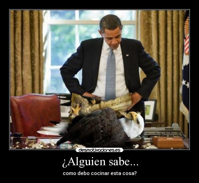 ¿Alguien sabe... - como debo cocinar esta cosa?