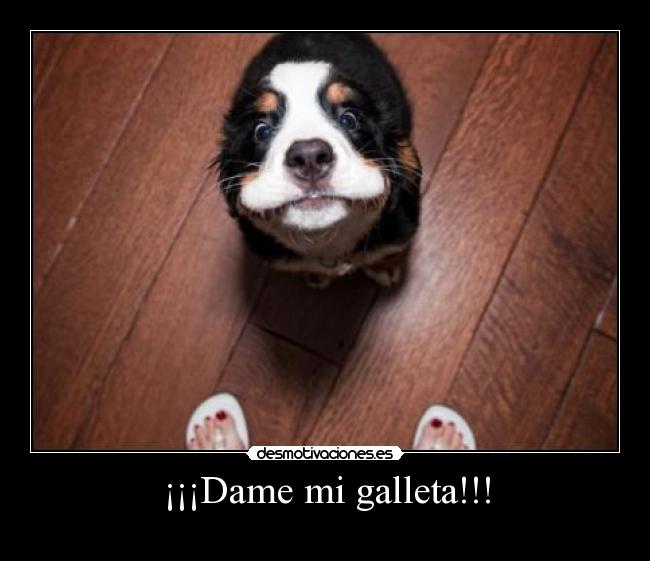 ¡¡¡Dame mi galleta!!! - 