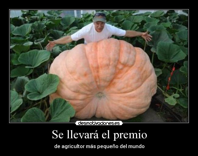 Se llevará el premio - 