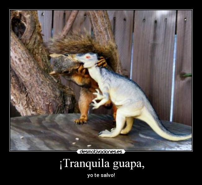 carteles ardilla salvadora desmotivaciones