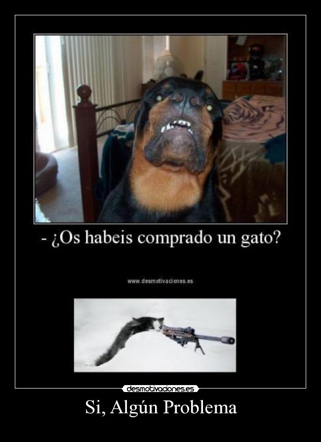 Si, Algún Problema - 