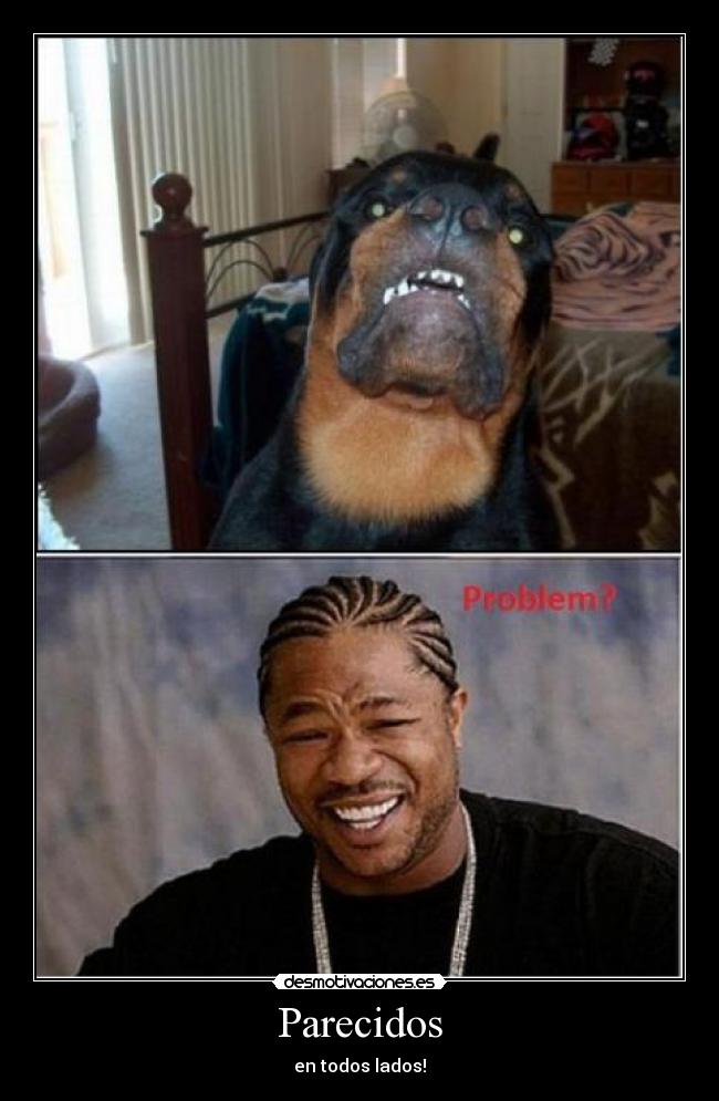 Parecidos - en todos lados!