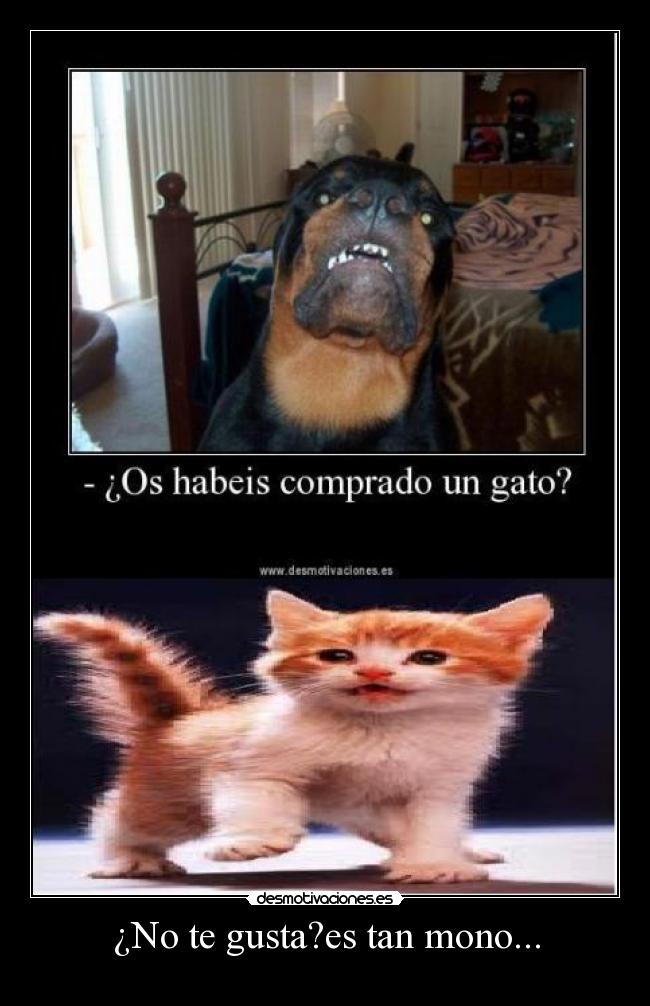 ¿No te gusta?es tan mono... -