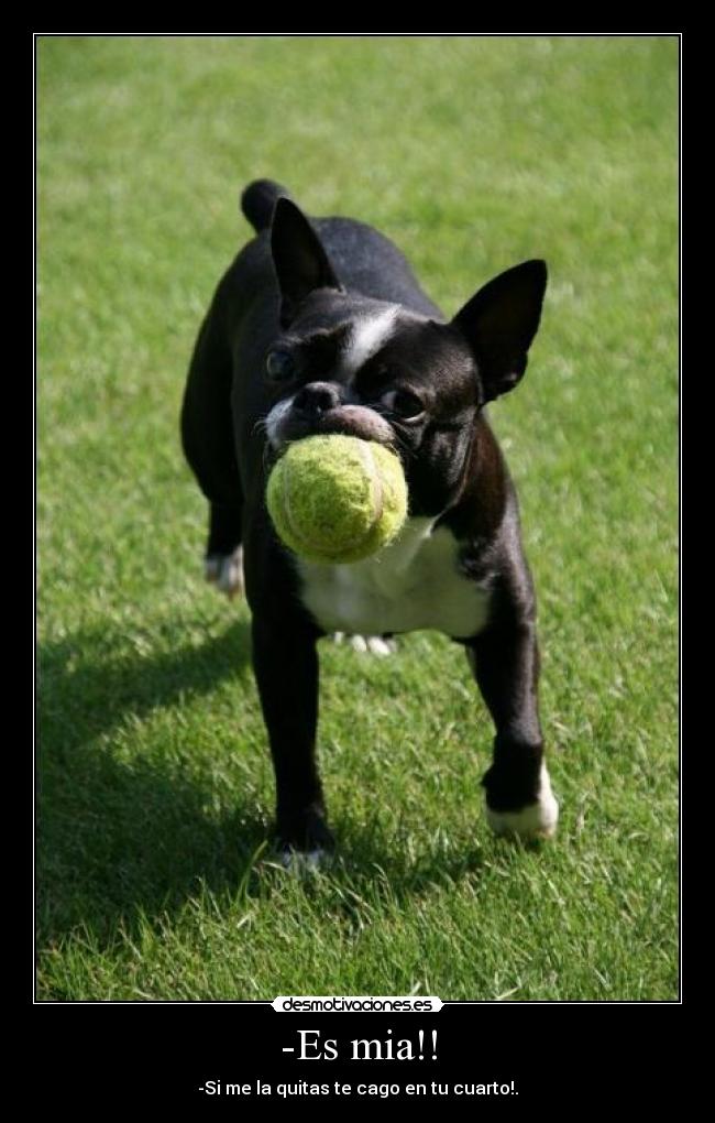 -Es mia!! - -Si me la quitas te cago en tu cuarto!.