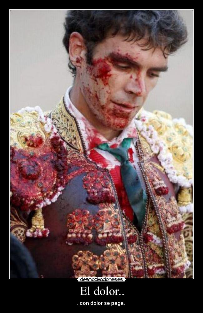 carteles dolor corridas toros desmotivaciones