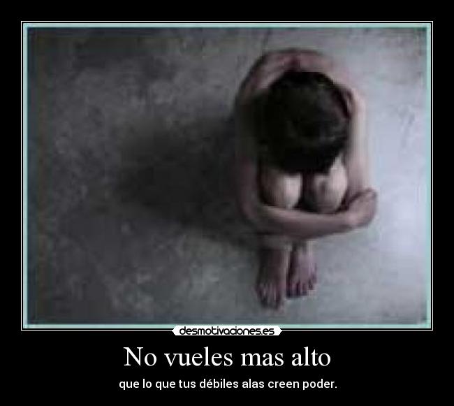 No vueles mas alto -